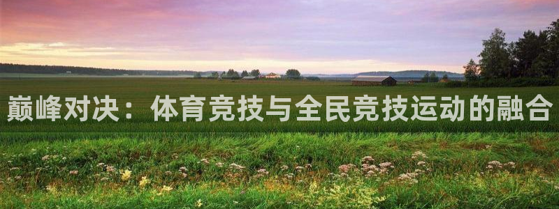 yy易游官方正版app集团E.ON:巅峰对决:体育竞技与全民