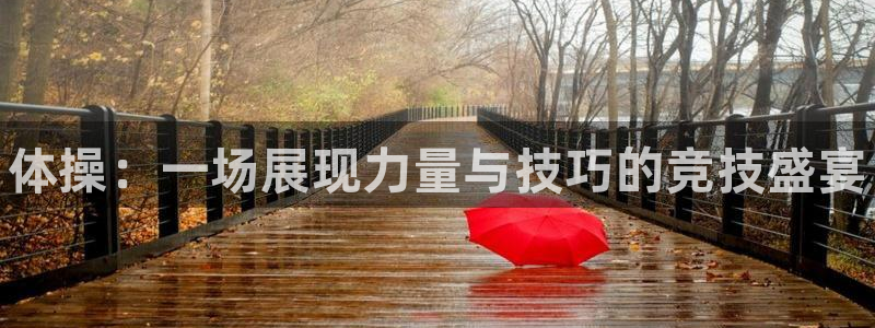 注册yy易游官方正版app:体操:一场展现力量与技巧的竞技盛