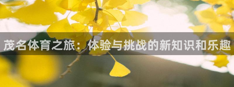 yy易游官网下载平台注册:茂名体育之旅:体验与挑战的新知识和