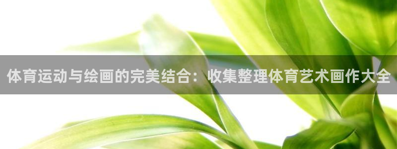 yy易游官方正版app娱乐代理怎么样:体育运动与绘画的完美结