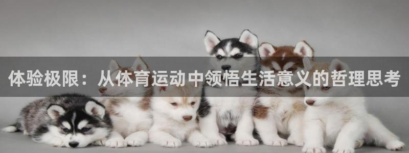 yy易游官方正版app集团官网首页网址:体验极限:从体育运动